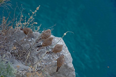 Pod Dubrovnickými hradbami