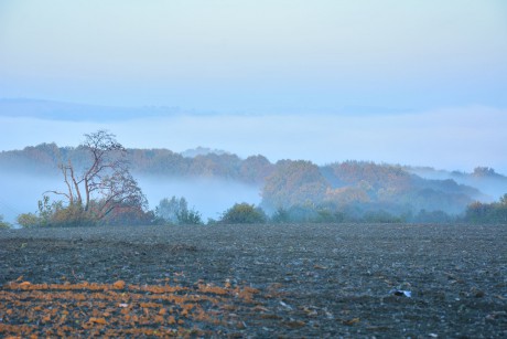 Mlha nad Valmezem