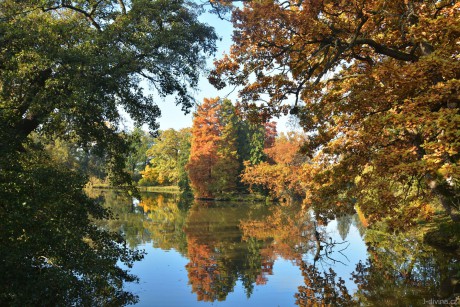 Lednický park 5